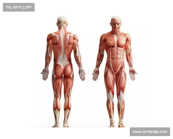 科学健身记录与持续进步的策略分享如何优化训练效果与健康管理 科学健身记录与持续进步的策略分享如何优化训练效果与健康管理
